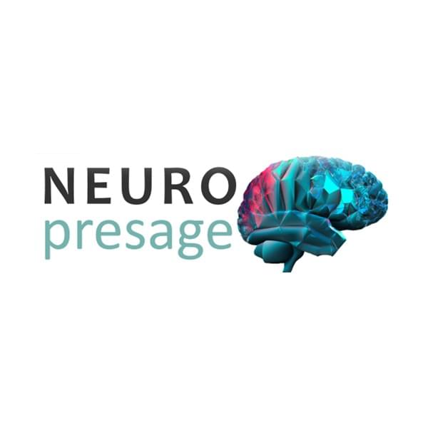 Une structure impliquée dans les troubles cognitifs